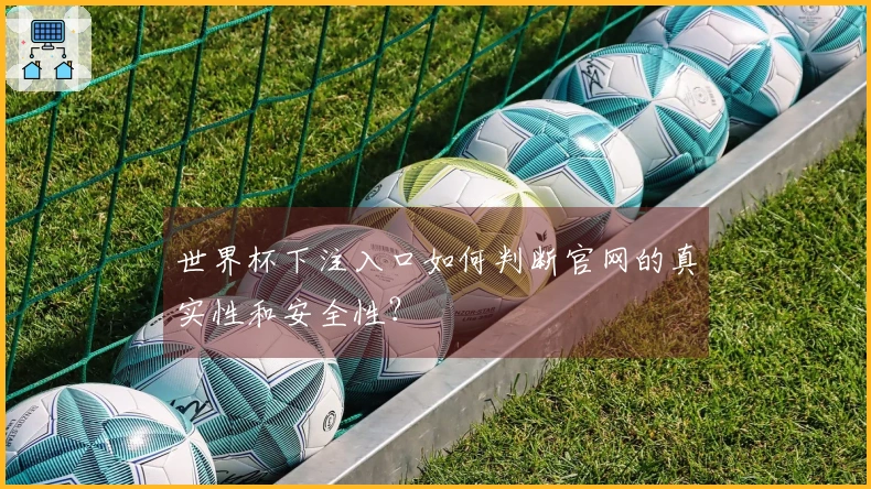 世界杯下注入口如何判断官网的真实性和安全性？